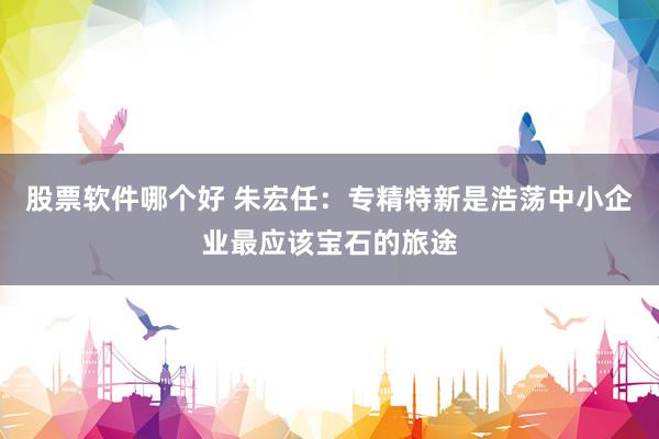 股票软件哪个好 朱宏任：专精特新是浩荡中小企业最应该宝石的旅途