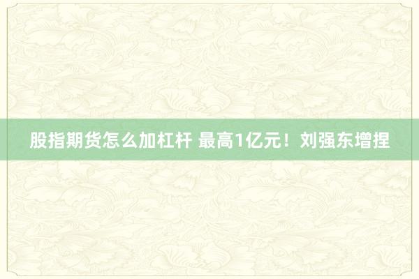 股指期货怎么加杠杆 最高1亿元！刘强东增捏