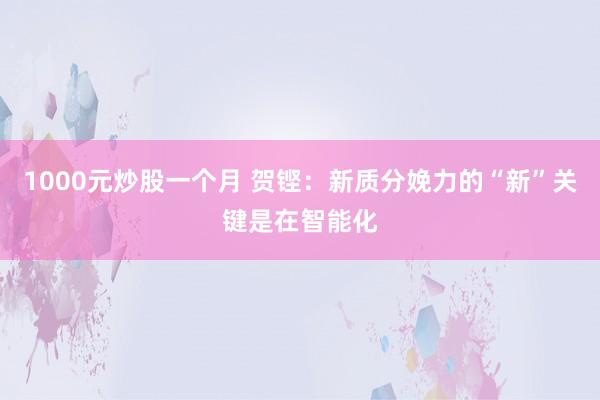 1000元炒股一个月 贺铿：新质分娩力的“新”关键是在智能化