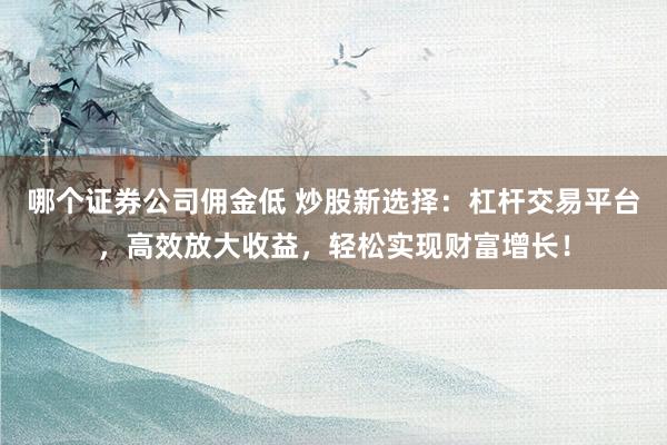 哪个证券公司佣金低 炒股新选择：杠杆交易平台，高效放大收益，轻松实现财富增长！