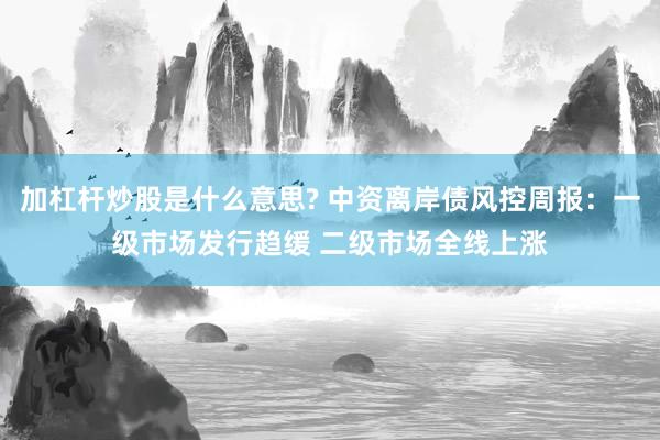 加杠杆炒股是什么意思? 中资离岸债风控周报：一级市场发行趋缓 二级市场全线上涨