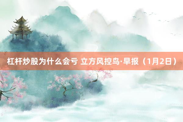 杠杆炒股为什么会亏 立方风控鸟·早报（1月2日）