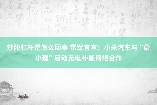 炒股杠杆是怎么回事 雷军官宣：小米汽车与“蔚小理”启动充电补能网络合作