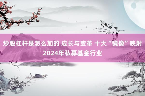 炒股杠杆是怎么加的 成长与变革 十大“镜像”映射2024年私募基金行业