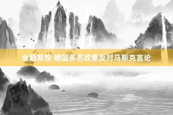 金融聚投 德国多名政要反对马斯克言论