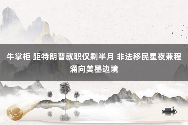 牛掌柜 距特朗普就职仅剩半月 非法移民星夜兼程涌向美墨边境