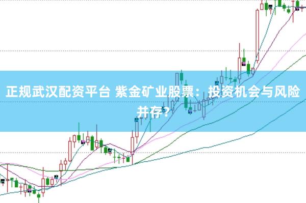 正规武汉配资平台 紫金矿业股票：投资机会与风险并存？