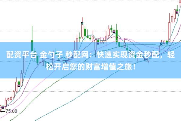 配资平台 金勺子 秒配网：快速实现资金秒配，轻松开启您的财富增值之旅！