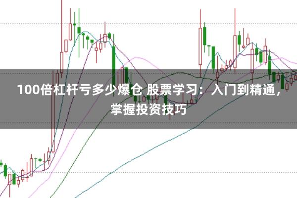 100倍杠杆亏多少爆仓 股票学习：入门到精通，掌握投资技巧