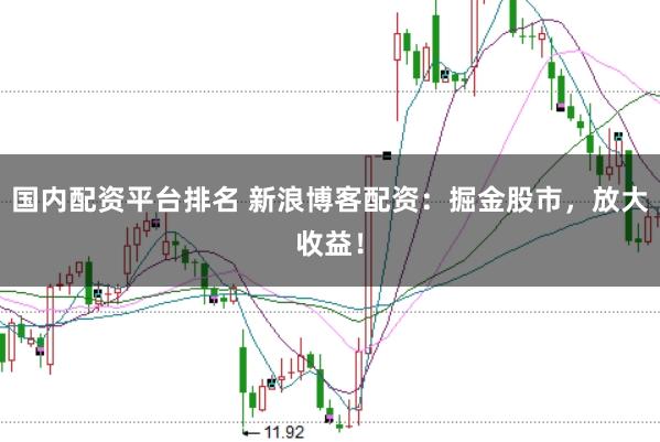 国内配资平台排名 新浪博客配资：掘金股市，放大收益！
