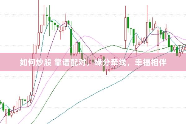 如何炒股 靠谱配对，缘分牵线，幸福相伴