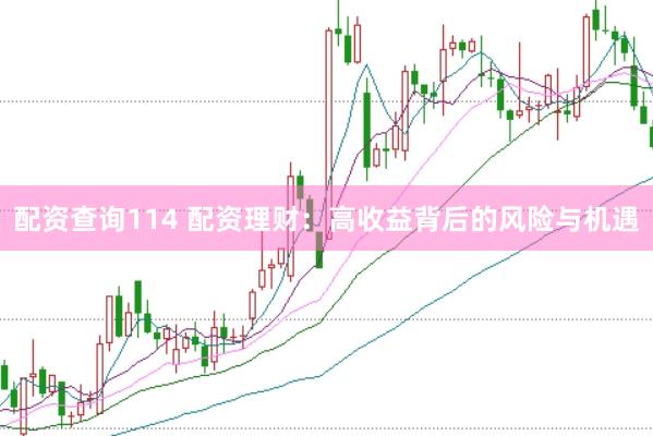 配资查询114 配资理财：高收益背后的风险与机遇