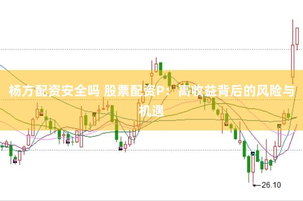 杨方配资安全吗 股票配资P：高收益背后的风险与机遇