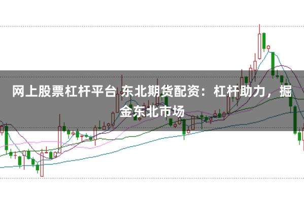 网上股票杠杆平台 东北期货配资：杠杆助力，掘金东北市场