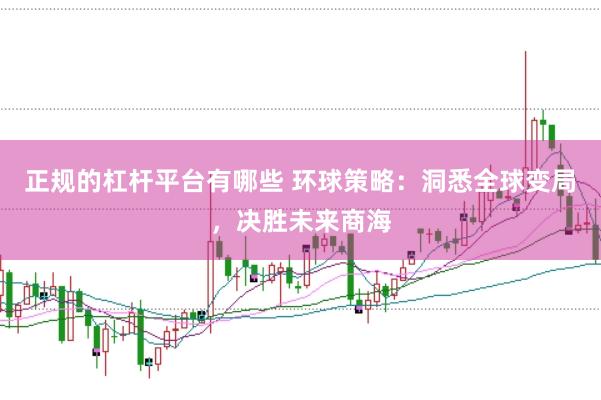 正规的杠杆平台有哪些 环球策略：洞悉全球变局，决胜未来商海