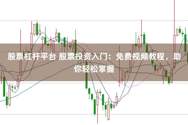 股票杠杆平台 股票投资入门：免费视频教程，助你轻松掌握