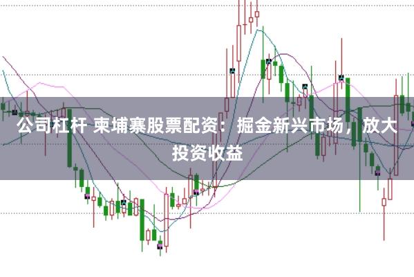 公司杠杆 柬埔寨股票配资：掘金新兴市场，放大投资收益