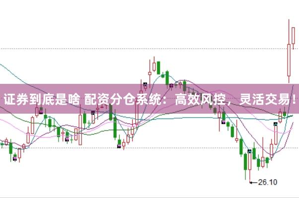 证券到底是啥 配资分仓系统:高效风控,灵活交易!