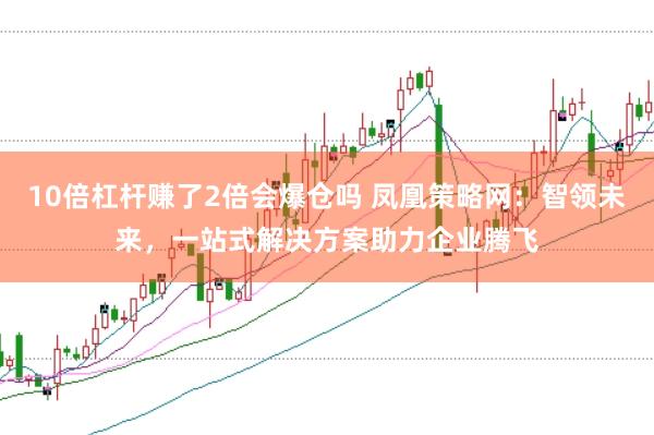 10倍杠杆赚了2倍会爆仓吗 凤凰策略网：智领未来，一站式解决方案助力企业腾飞