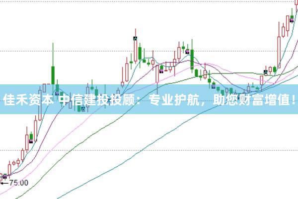 佳禾资本 中信建投投顾:专业护航,助您财富增值!